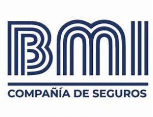 bmi vida